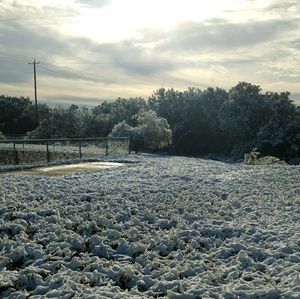 Meet your Posher, Paloma